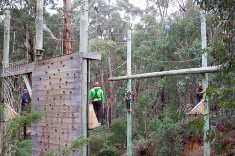 Kinglake Forest Adventures - Hotel NSW 1