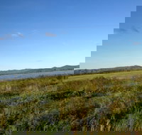 Lakeland - Hotel NSW