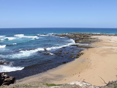 Little Shelley - Hotel NSW 0
