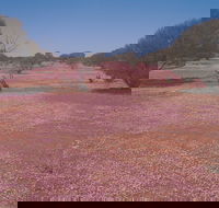 Meekatharra - Hotel NSW