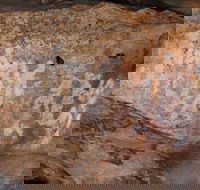 Ngamadjidj Shelter - Wartook Valley - Hotel NSW