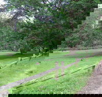 St Albans Reserve - Hotel NSW