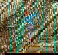 Trees Adventure Yeodene Park - Hotel NSW