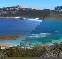 Whitemark - Hotel NSW