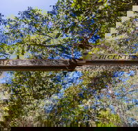 Bribie Island Bicentennial Trails - Hotel NSW