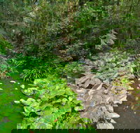 Brindle Creek Picnic Area - Hotel NSW