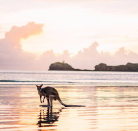 Cape Hillsborough  A Low Tide Fishing Adventure - Hotel NSW