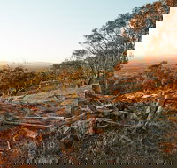 Chick Hill Walk - Hotel NSW