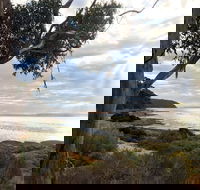 Fish Cannery Walking Trail - Hotel NSW