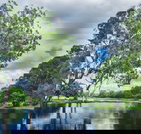 Gold Coast Regional Botanic Gardens - Hotel NSW