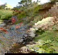 Gold Panning Deep Creek - Hotel NSW