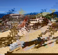 Gundersen Reserve - Hotel NSW