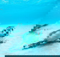 Jurien Bay - Hotel NSW