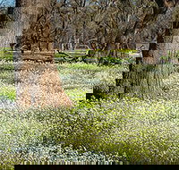 Leaghur State Park - Hotel NSW