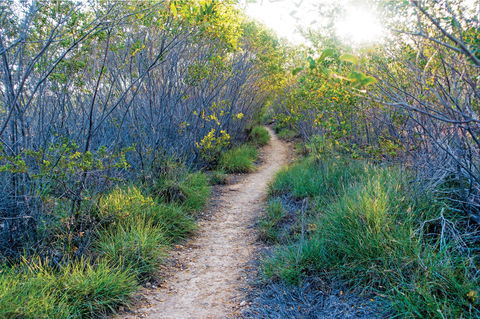 Minerva Hills National Park - Hotel NSW 2
