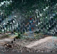 Nerang Mountain Bike Trails - Hotel NSW