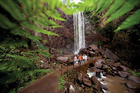 Queen Mary Falls Circuit, Main Range National Park - Hotel NSW 0