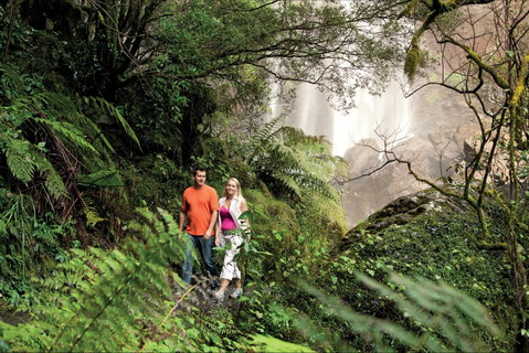 Queen Mary Falls Circuit, Main Range National Park - Hotel NSW 2
