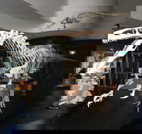 UNE Natural History Museum - Hotel NSW