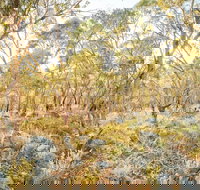 Alpine Views Walk - Hotel NSW