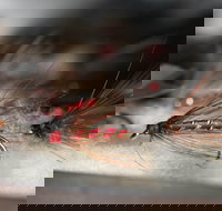 Australian Fly Fishing Museum - Hotel NSW