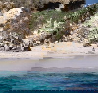 Australian Sea Lions - Hotel NSW