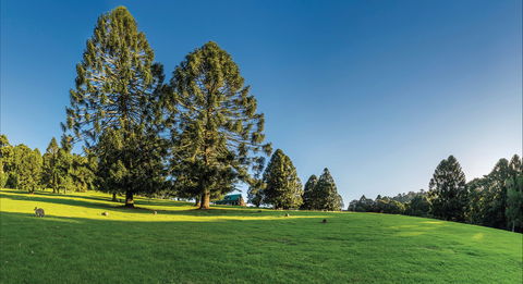 Bunya Mountains National Park - Hotel NSW 0