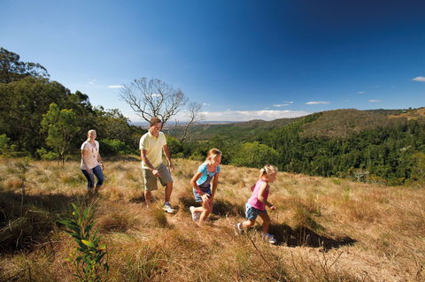 Bunya Mountains National Park - Hotel NSW 2