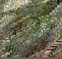 Caleys Lookout Track - Hotel NSW
