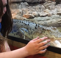 Canberra Reptile Zoo - Hotel NSW