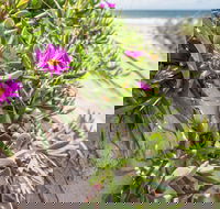 Fort Bribie - Hotel NSW