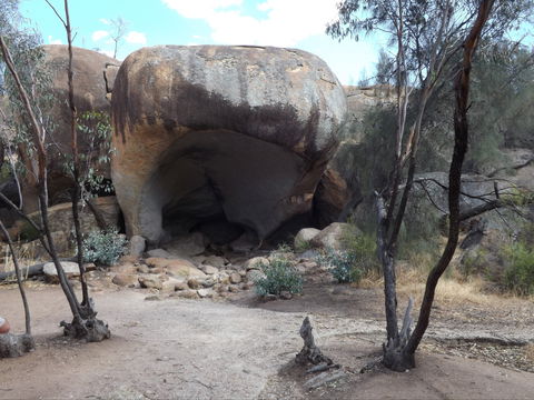 Hippo's Yawn - Hotel NSW 1