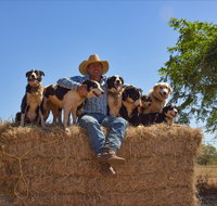 Katherine Outback Experience - Hotel NSW