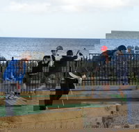 Port Vincent Putt Putt - Hotel NSW