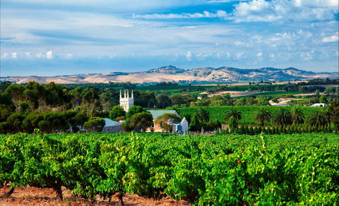 Seppeltsfield Road Barossa Valley - Hotel NSW 1