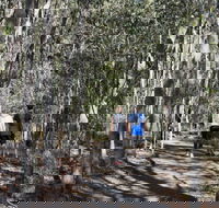 Six Mile Creek Bluff Lookout and Little White Rock Trails - Hotel NSW