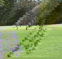 Springwood Country Club - Hotel NSW