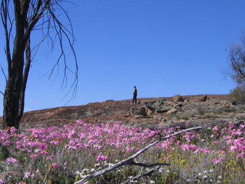Talgomine Reserve - Hotel NSW 0