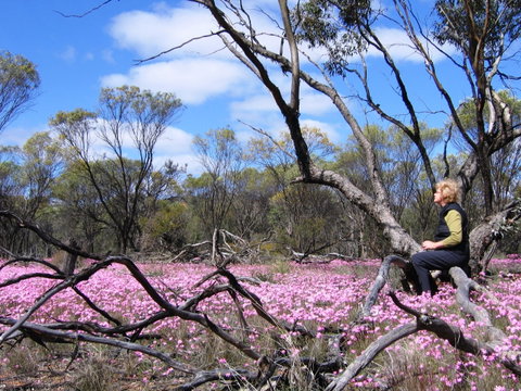 Talgomine Reserve - Hotel NSW 1