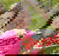 The Super Strawberry - Hotel NSW