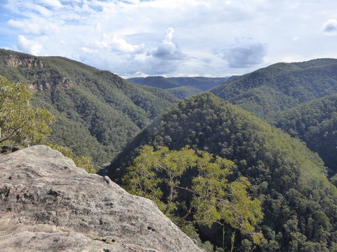 Vale Of Avoca - Hotel NSW 0