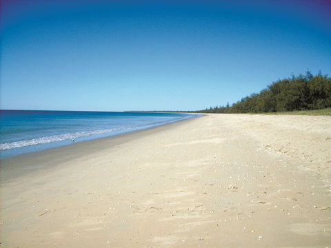Coral Coast Pathways (Woodgate Beach Section) - Hotel NSW 0