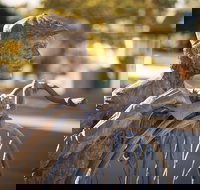 Evandale - Hotel NSW