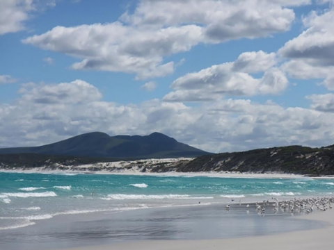 Hakea Walk Trail, East Fitzgerald National Park - Hotel NSW 0