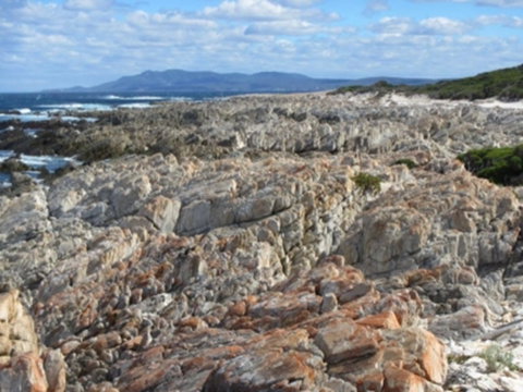 Hakea Walk Trail, East Fitzgerald National Park - Hotel NSW 1
