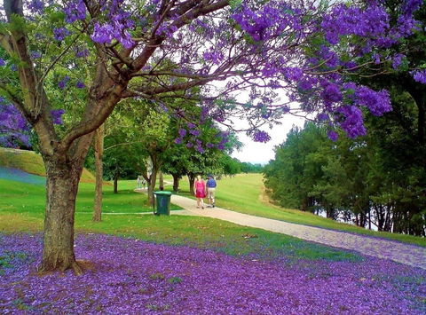 Howe Park - Hotel NSW 0