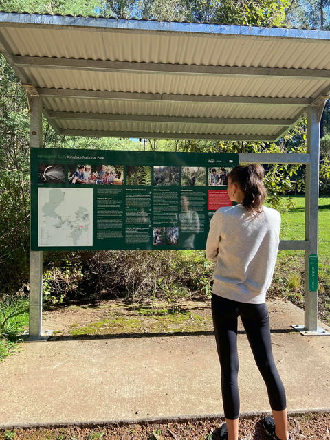 Jehosaphat Gully Picnic Area - Hotel NSW 0