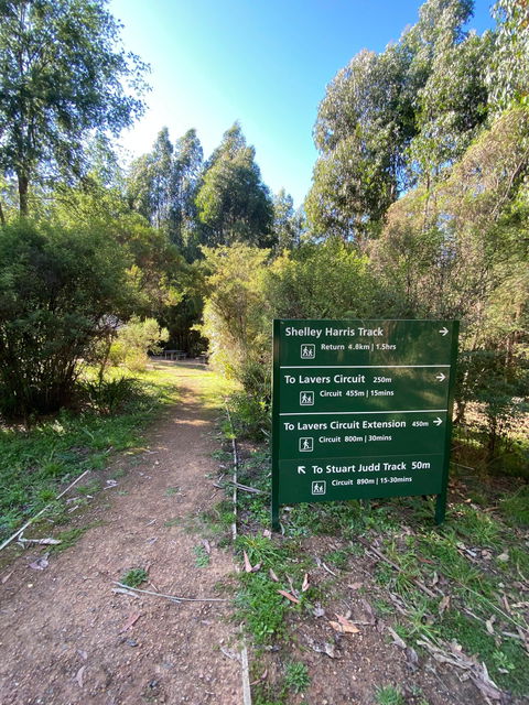 Jehosaphat Gully Picnic Area - Hotel NSW 2