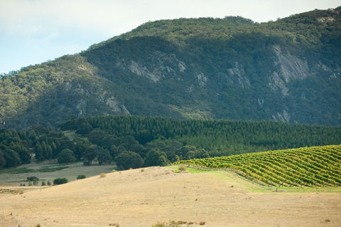 Langi Ghiran State Park - Hotel NSW 0