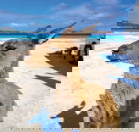 Lucky Bay - Hotel NSW